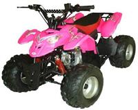110cc ATVs
