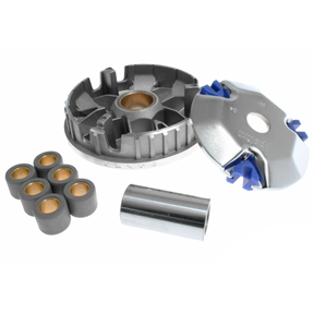 Honda ruckus polini speed variator kit #7