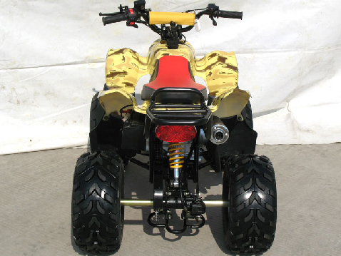 Rear
