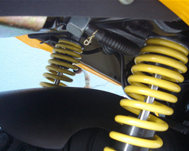 Rear Shocks