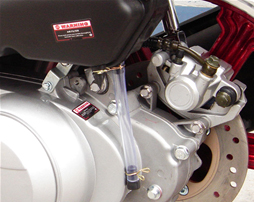 Rear Disc