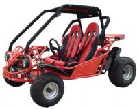 150cc Go Karts